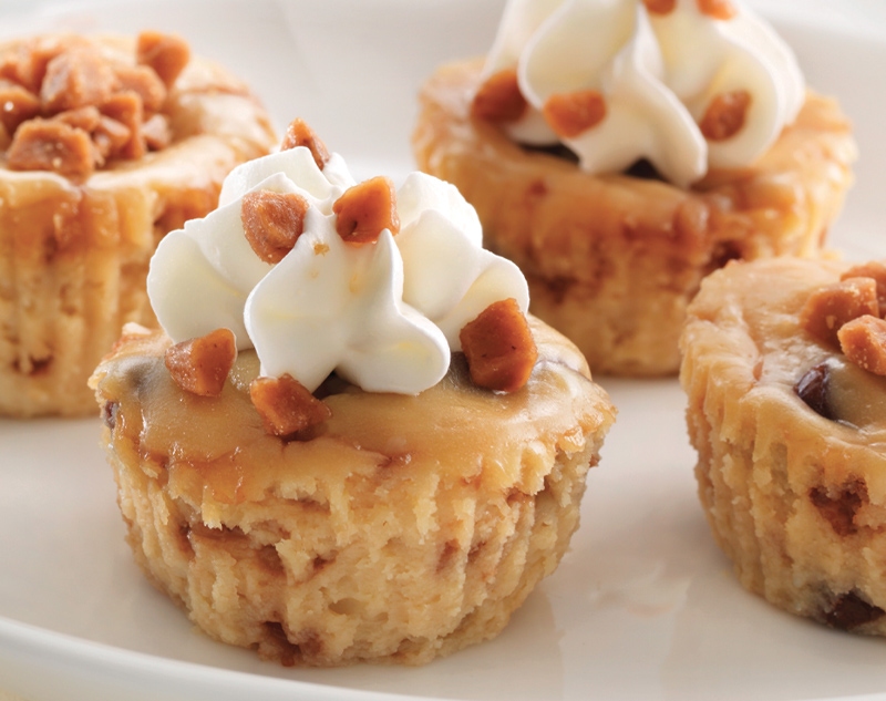 skor bites skor bites