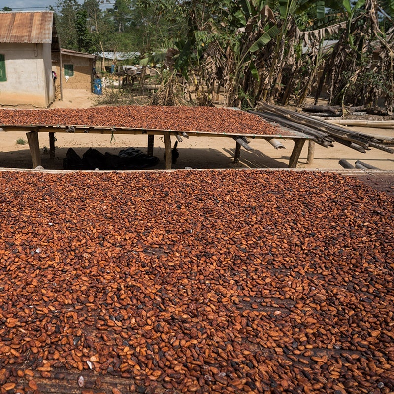 Cocoa on a table