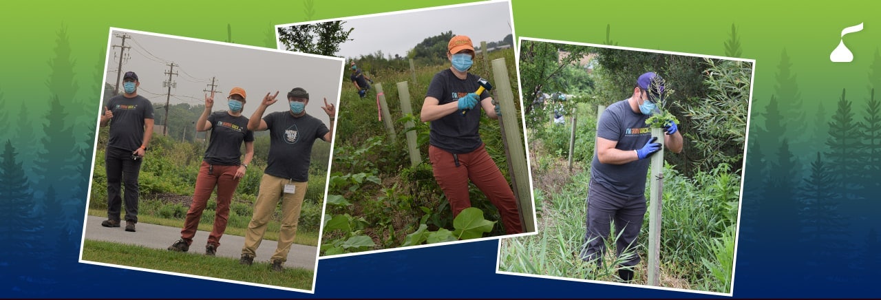 Volunteers working outdoors