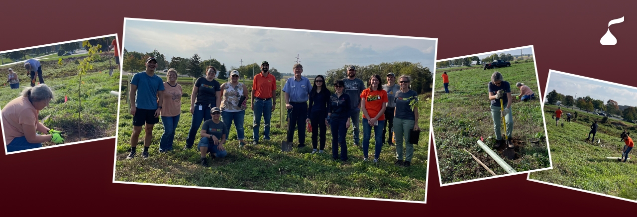 Volunteers working outdoors