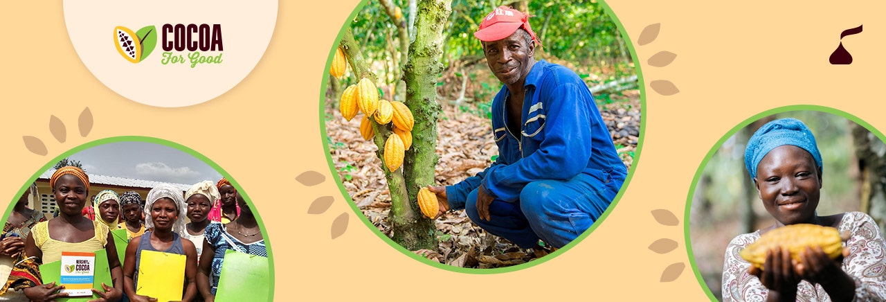 Cocoa Sustainability