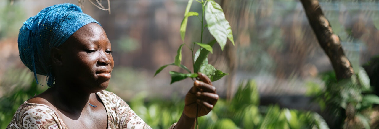 Safeguarding Forests Where We Source Cocoa