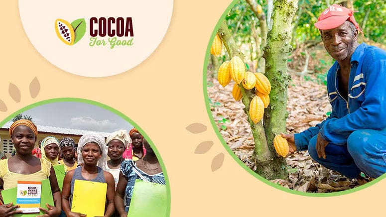 What Cocoa Sustainability Means at Hershey
