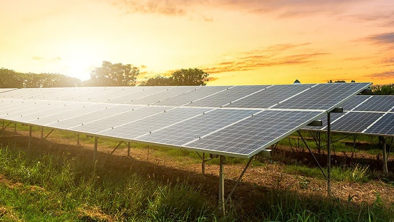 Solar panels in a field