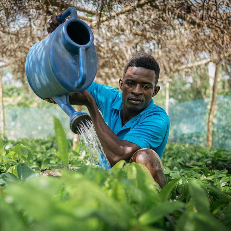 Person watering plants in a blue shirt with a blue watering can