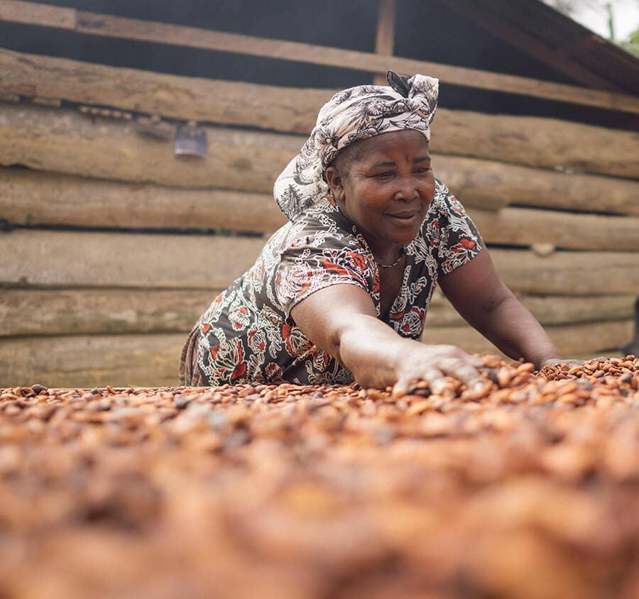Woman spreading cacao
