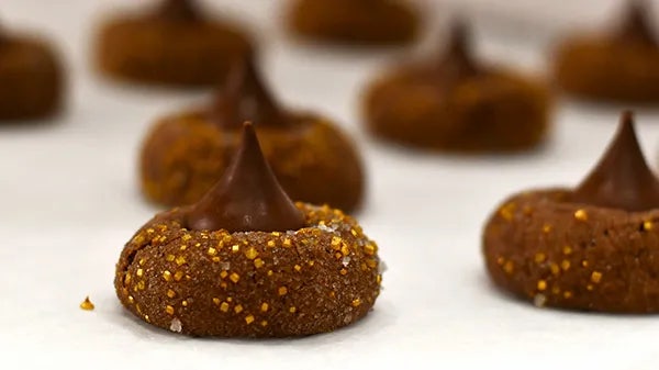 hersheys chocolate gingerbread blossoms