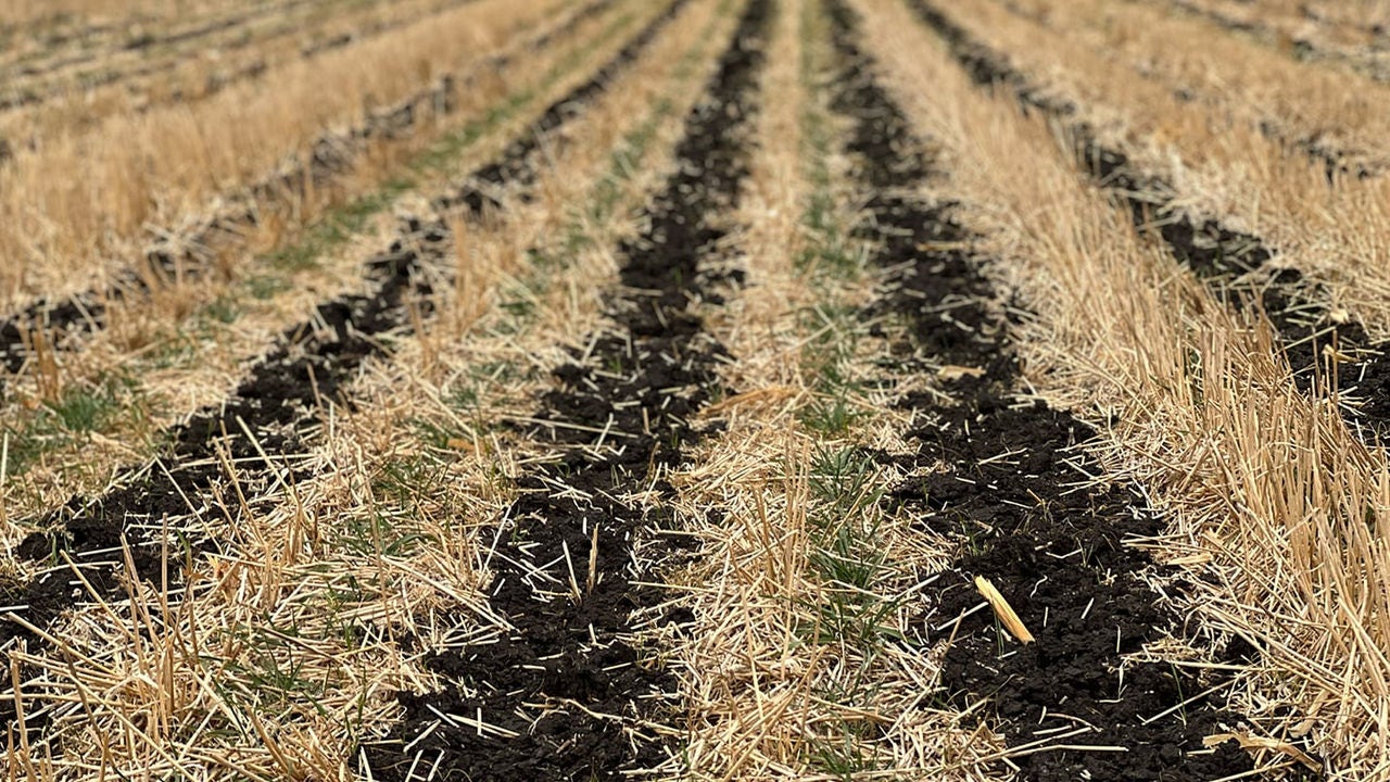 Closeup of a tilled field